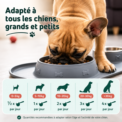 Poudre Dentaire Naturelle pour Chien