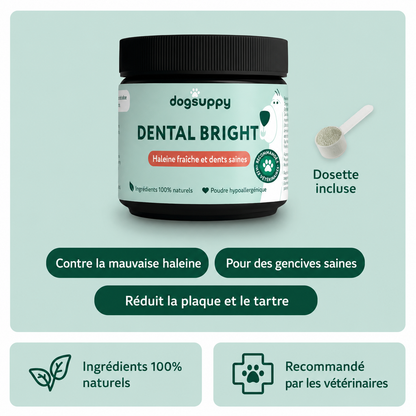 Poudre Dentaire Naturelle pour Chien