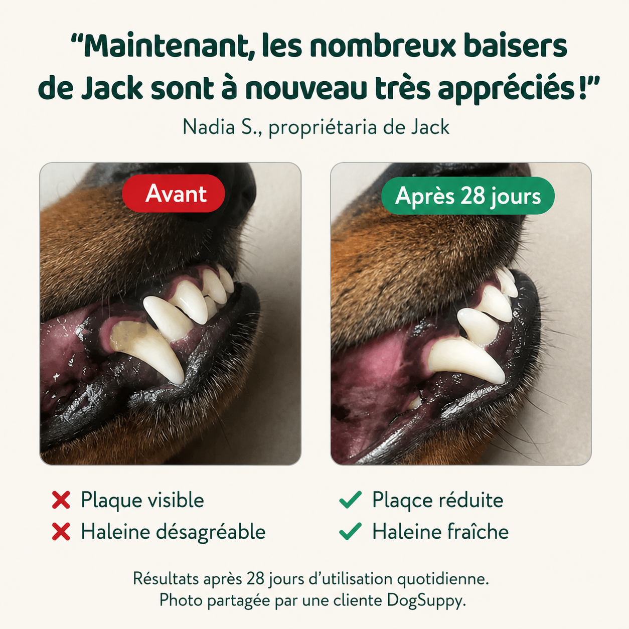 Poudre Dentaire Naturelle pour Chien