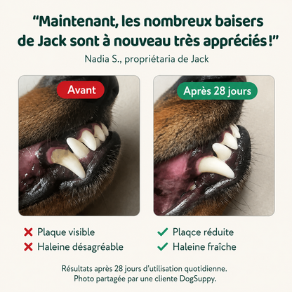 Poudre Dentaire Naturelle pour Chien