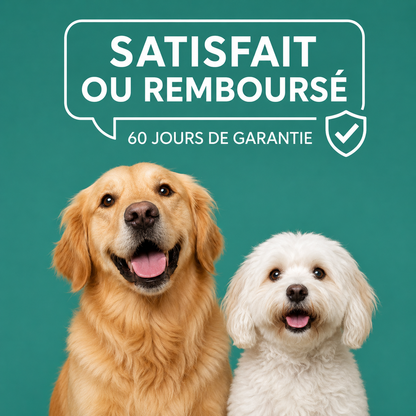Poudre Dentaire Naturelle pour Chien