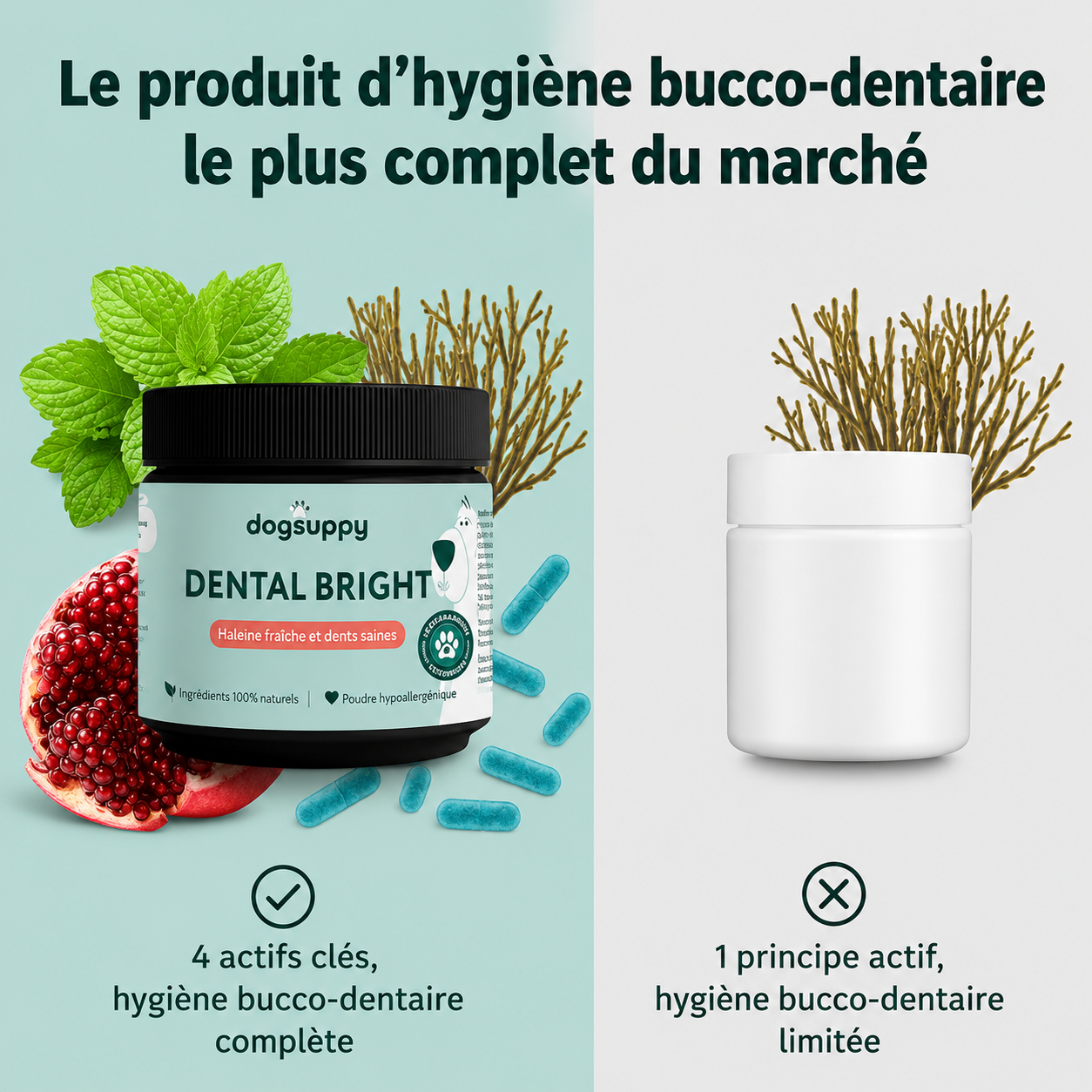 Poudre Dentaire Naturelle pour Chien