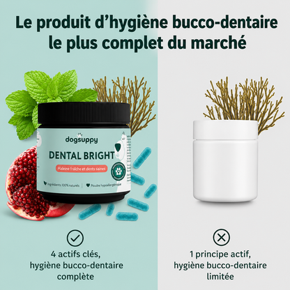 Poudre Dentaire Naturelle pour Chien