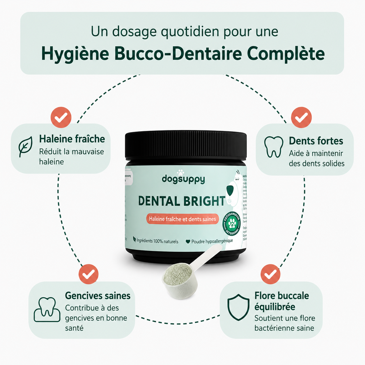 Poudre Dentaire Naturelle pour Chien