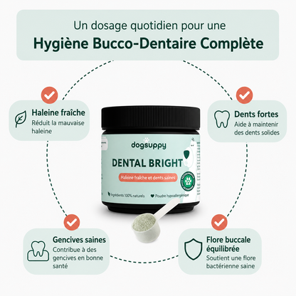 Poudre Dentaire Naturelle pour Chien