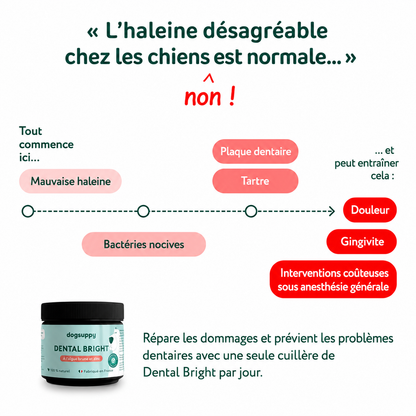 Poudre Dentaire Naturelle pour Chien