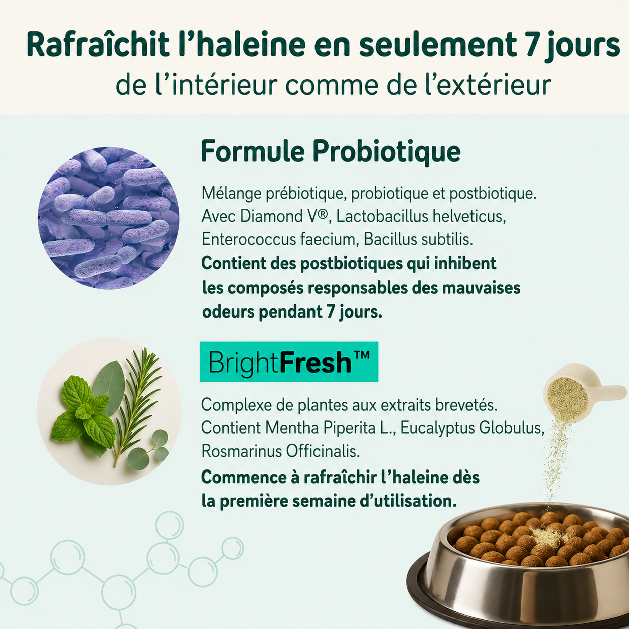Poudre Dentaire Naturelle pour Chien