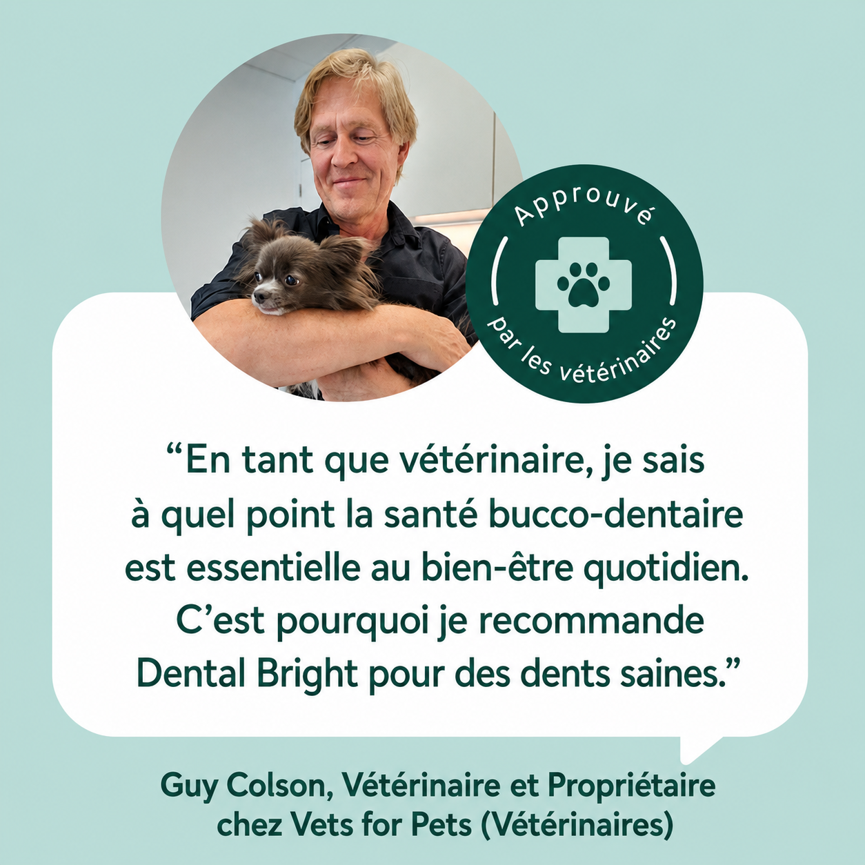 Poudre Dentaire Naturelle pour Chien