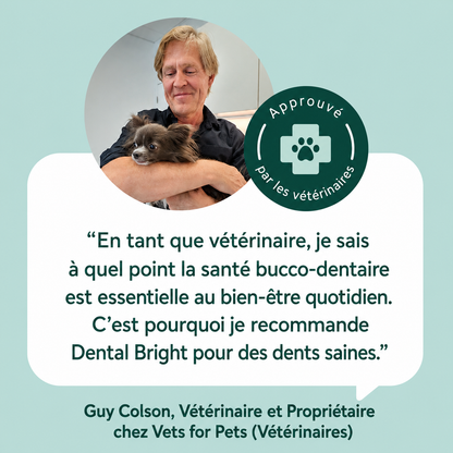 Poudre Dentaire Naturelle pour Chien