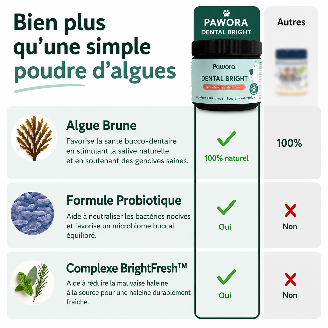 Poudre Dentaire Naturelle pour Chien