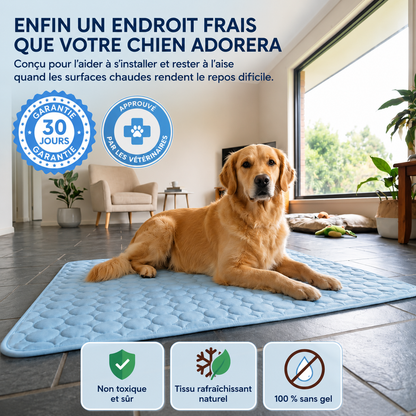 Tapis Rafraîchissant